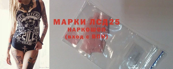 гидра Богородск