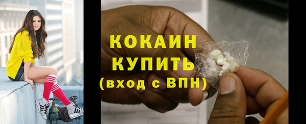 ECSTASY Сосновка