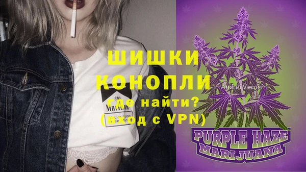 ГАЛЛЮЦИНОГЕННЫЕ ГРИБЫ Богданович