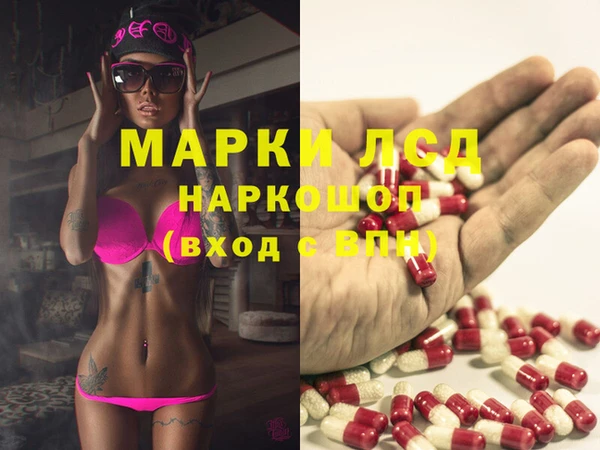 шишки Слюдянка