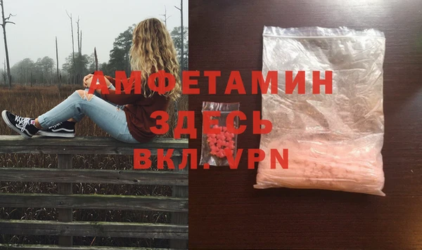 гидра Богородск