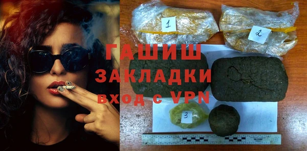 гидра Богородск