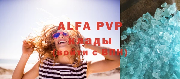 ГАЛЛЮЦИНОГЕННЫЕ ГРИБЫ Богданович