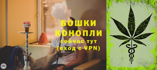 ГАЛЛЮЦИНОГЕННЫЕ ГРИБЫ Богданович