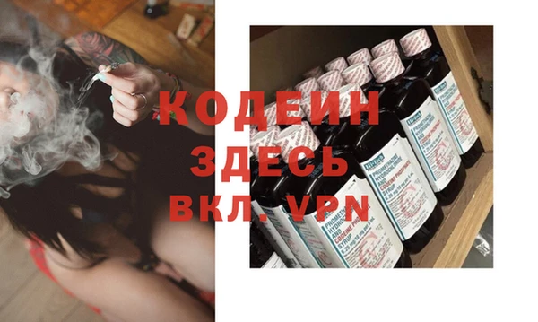 ГАЛЛЮЦИНОГЕННЫЕ ГРИБЫ Богданович