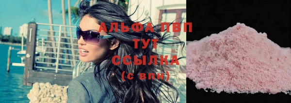 ГАЛЛЮЦИНОГЕННЫЕ ГРИБЫ Богданович
